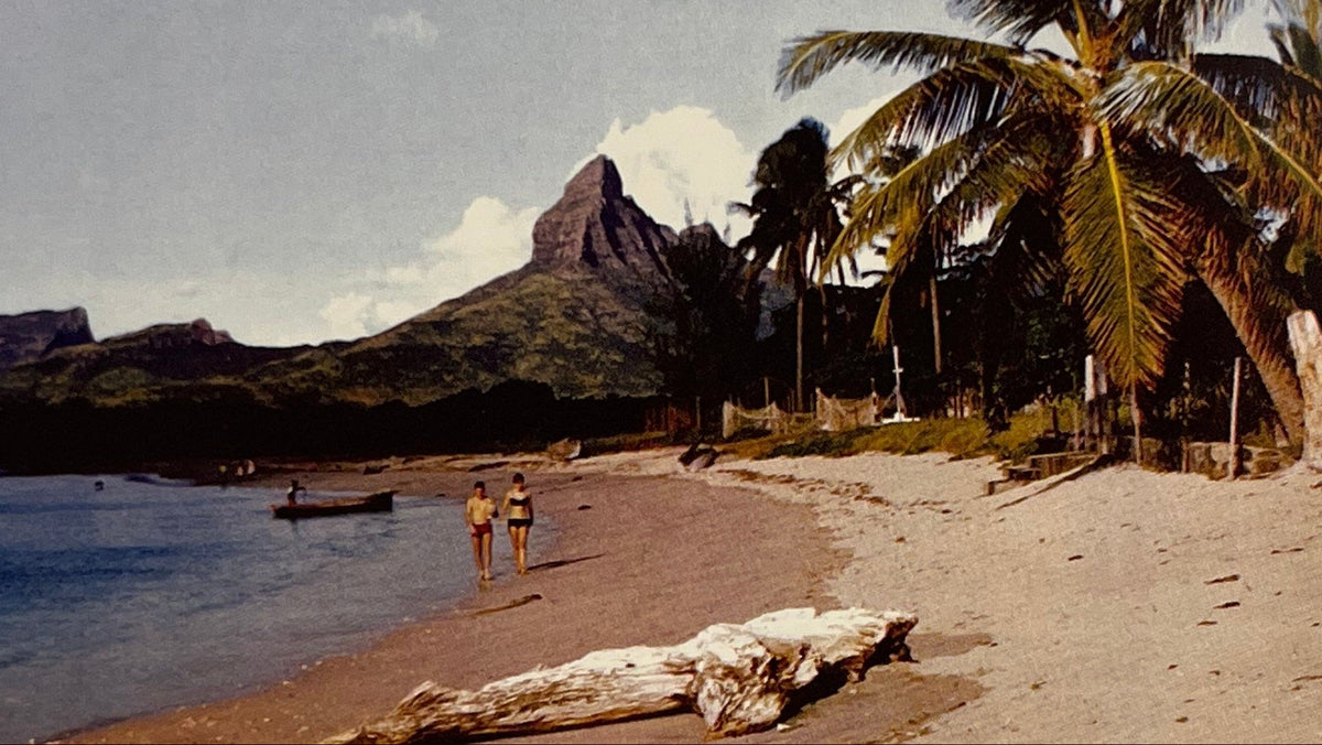 A scenic beach landscape with palm trees, a sandy shore, calm water, and a prominent mountain peak in the background. Two small figures are walking near the shoreline, and driftwood lies in the foreground.